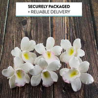 Orchid Sugar Cake Flowers, Pearly Orchids, by Global Sugar Art, Small, White, 6 Count