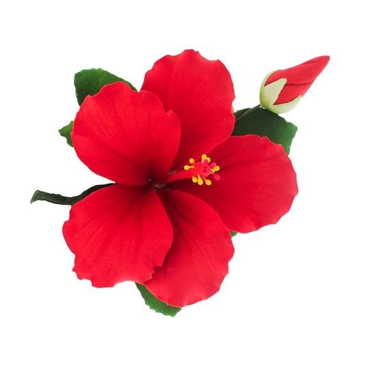 Red Tropical Hibiscus with Leaves