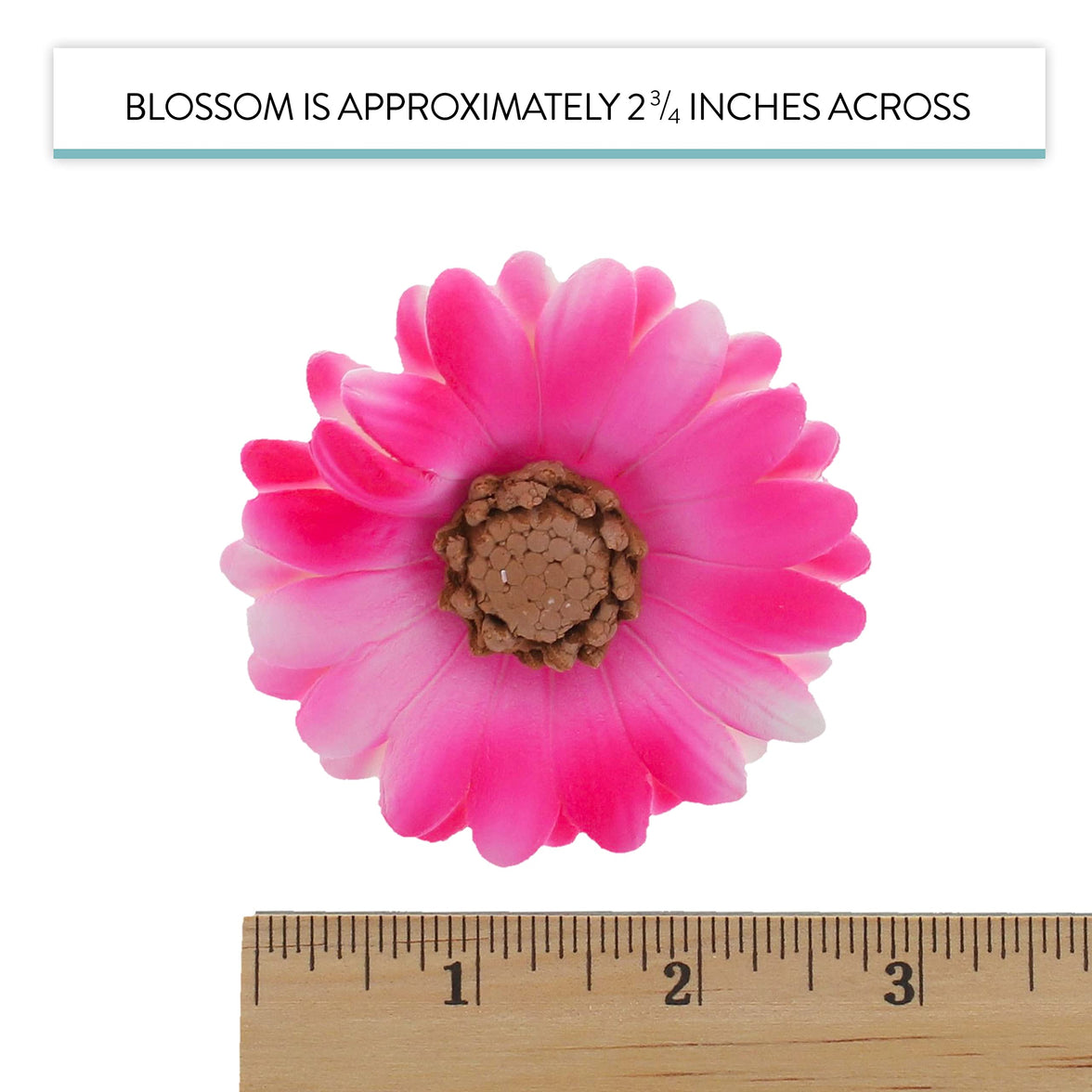 Global Sugar Art Summer Gerbera Daisy Sugar Cake Flowers Mixed Colors, 9 Count by Chef Alan Tetreault