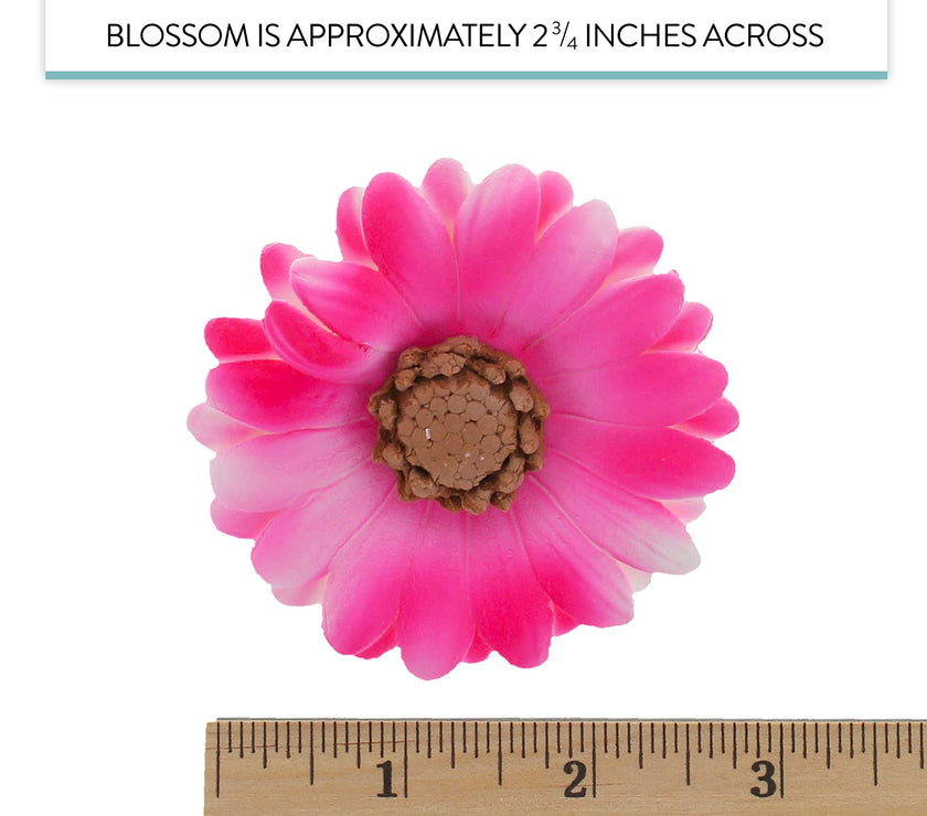 Global Sugar Art Summer Gerbera Daisy Sugar Cake Flowers Mixed Colors, 9 Count by Chef Alan Tetreault