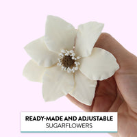 Clematis Gum Paste Sugar Cake Flowers by Global Sugar Art, White, 3 Count