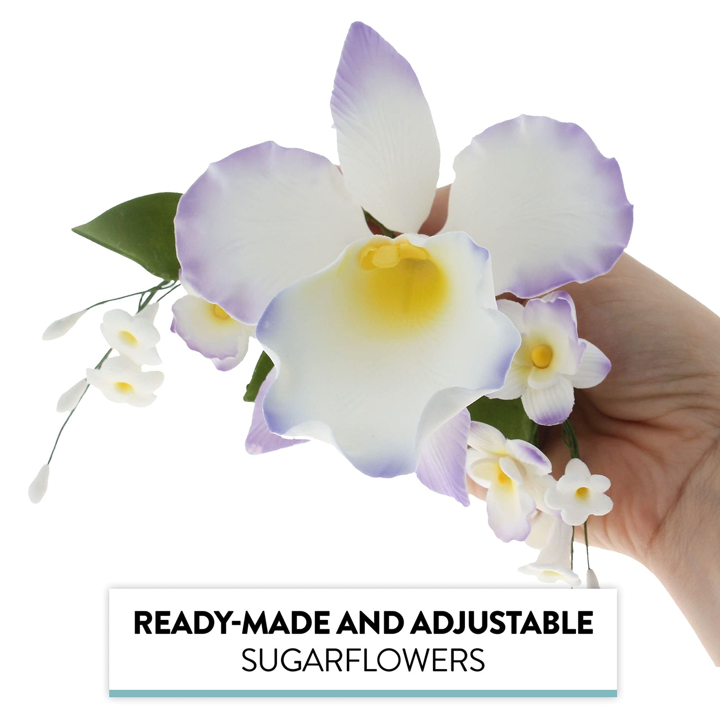 Purple and White Arched Cattleya Orchid Spray