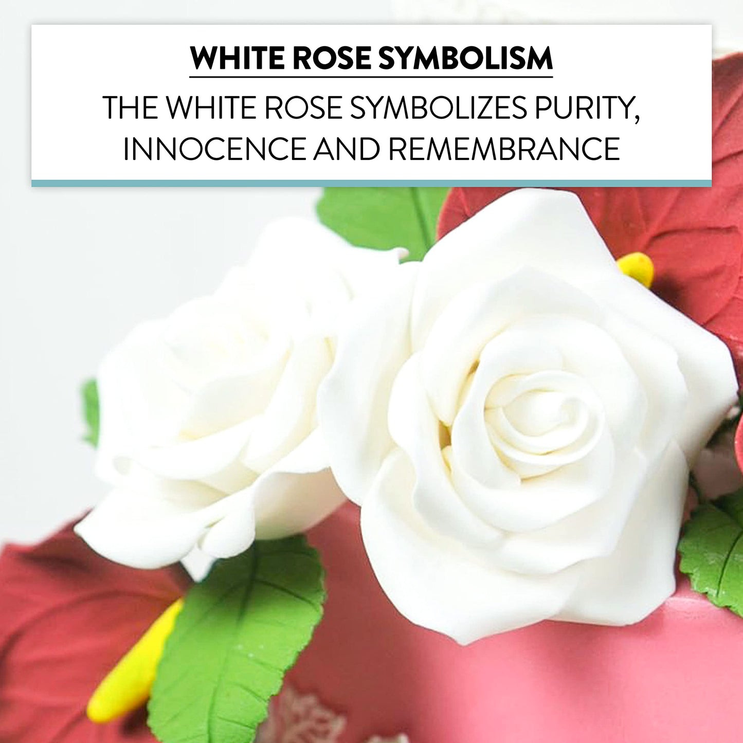 White Shrub Rose, Wired, 2.5-inch, 8 Count