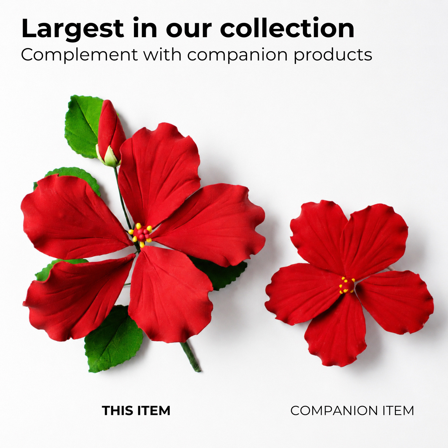 Red Tropical Hibiscus with Leaves