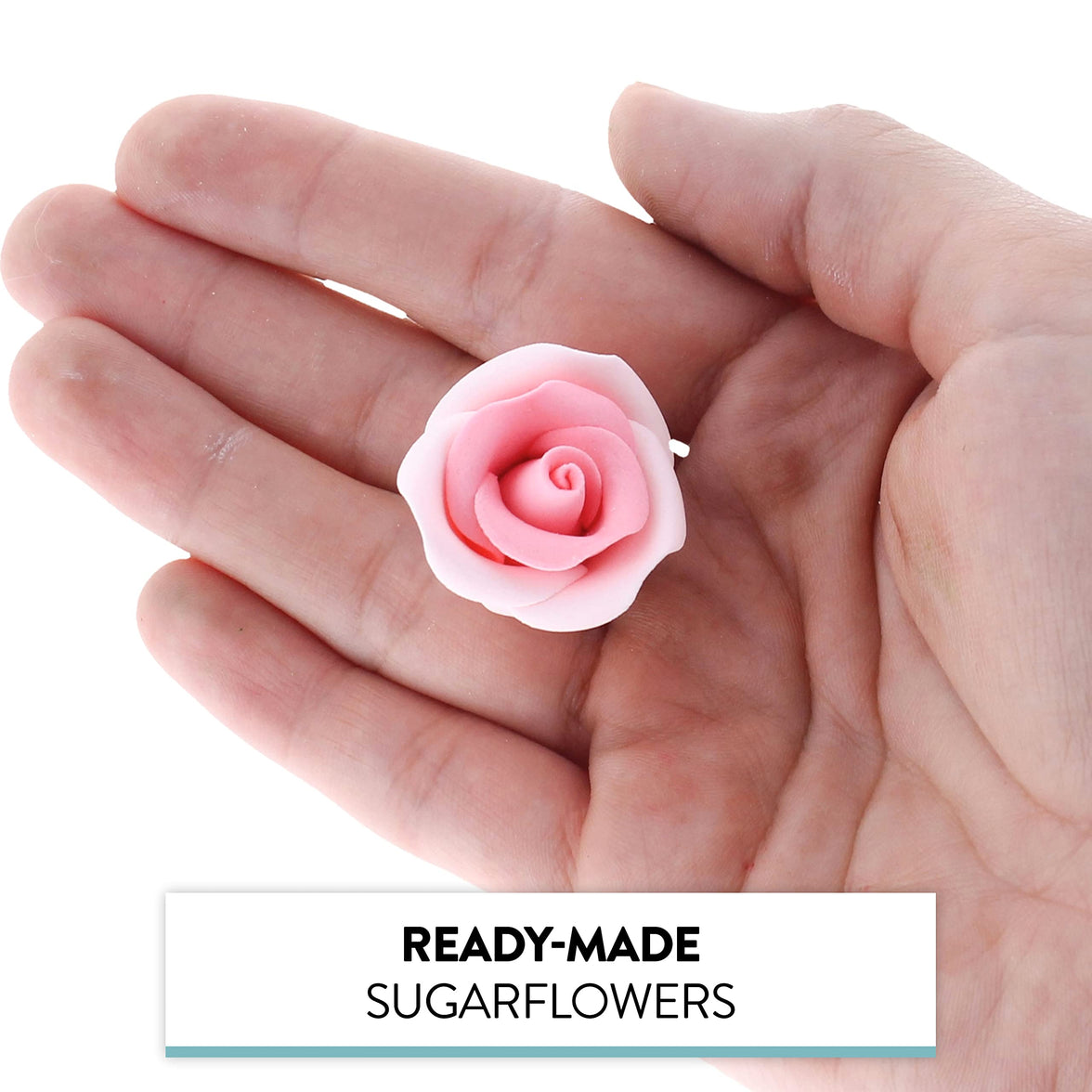 Shrub Rose Sugar Flowers for Cakes, by Global Sugar Art, Small, Pink