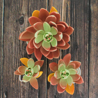 Global Sugar Art Succulent Lipstick Assortment Sugar Cake Flowers, 3 Count by Chef Alan Tetreault