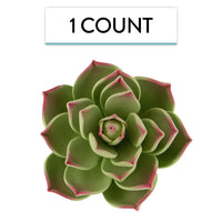 Global Sugar Art Succulent Parva Large Cake Flower with Wire, 1 Count by Chef Alan Tetreault