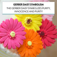Global Sugar Art Gerbera Daisy Sugar Cake Flowers, Mixed Colors, 8 Count by Chef Alan Tetreault
