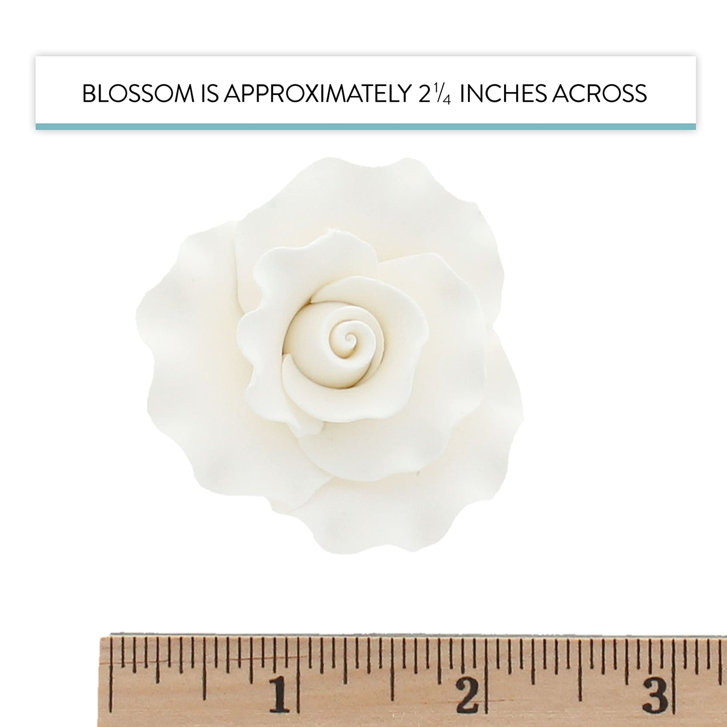 White Aussie Roses, 8 Count