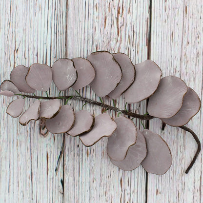 Muave Eucalyptus, 5 Count