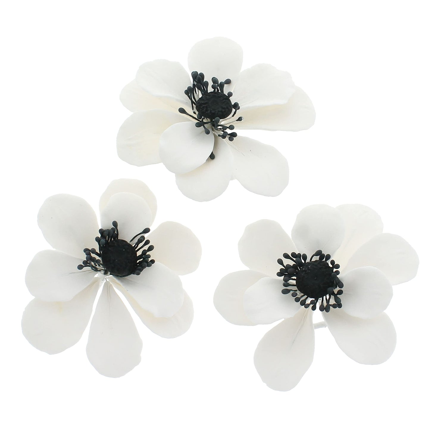 White and Black Anemone, 3 Count