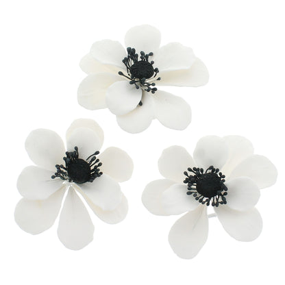 White and Black Anemone, 3 Count