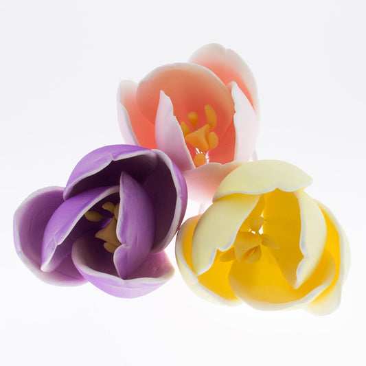 Tulips, Assorted Colors, 6 Count