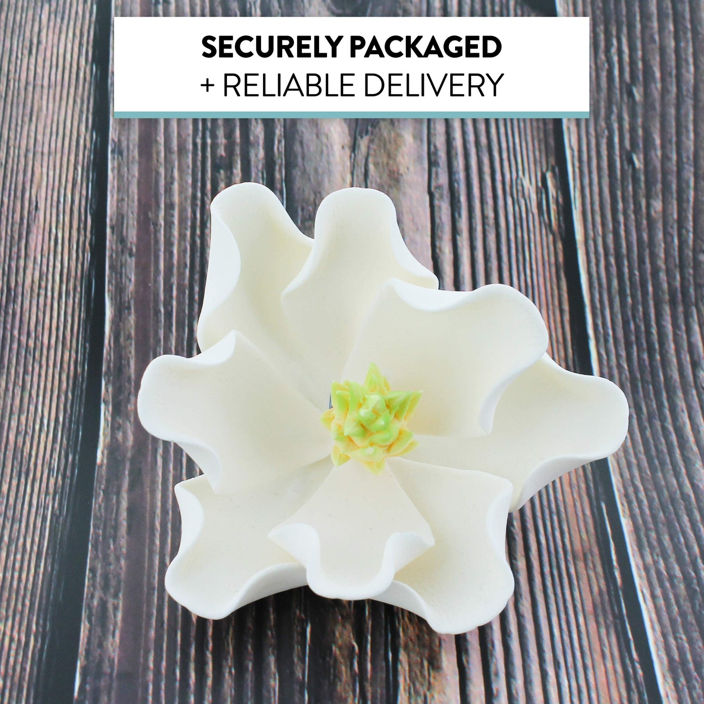 White Magnolia Blossom, 3 Count