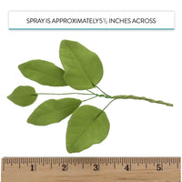 Light Green Gardenia Leaf Spray Cake Decoration by Chef Alan Tetreault, Global Sugar Art, 4 Count