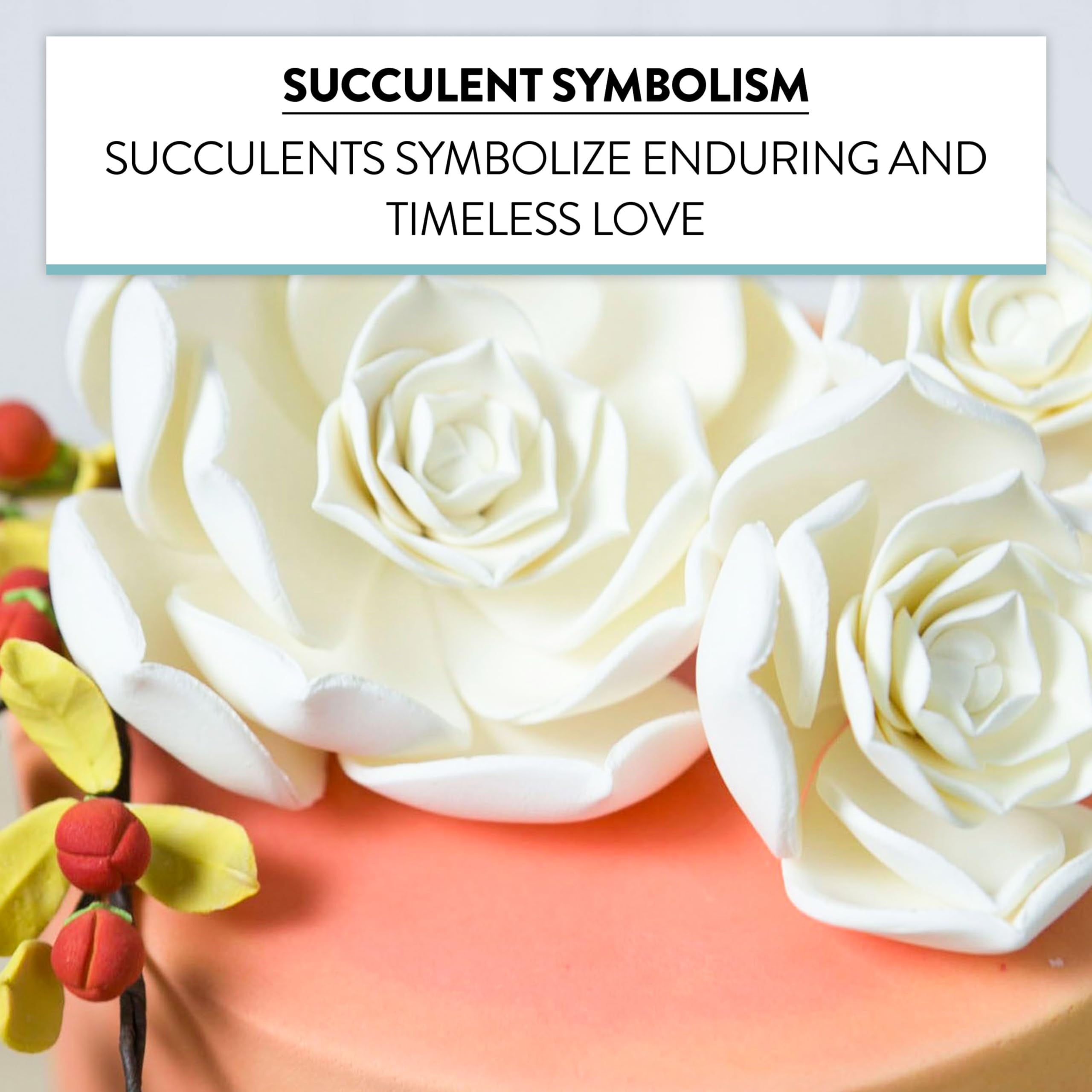 Global Sugar Art Succulent Taurus Sugar Cake Flowers Assortment White with Wire, 3 Count by Chef Alan Tetreault