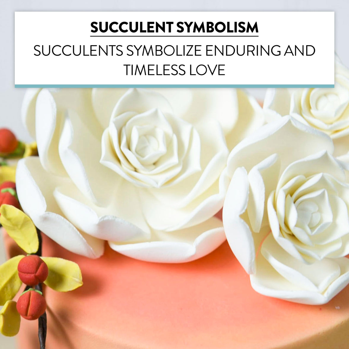 Global Sugar Art Succulent Taurus Sugar Cake Flowers Assortment White with Wire, 3 Count by Chef Alan Tetreault