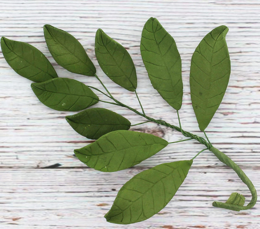 Magnolia Leaf Spray Cake Decoration by Chef Alan Tetreault, Global Sugar Art, 4 Count