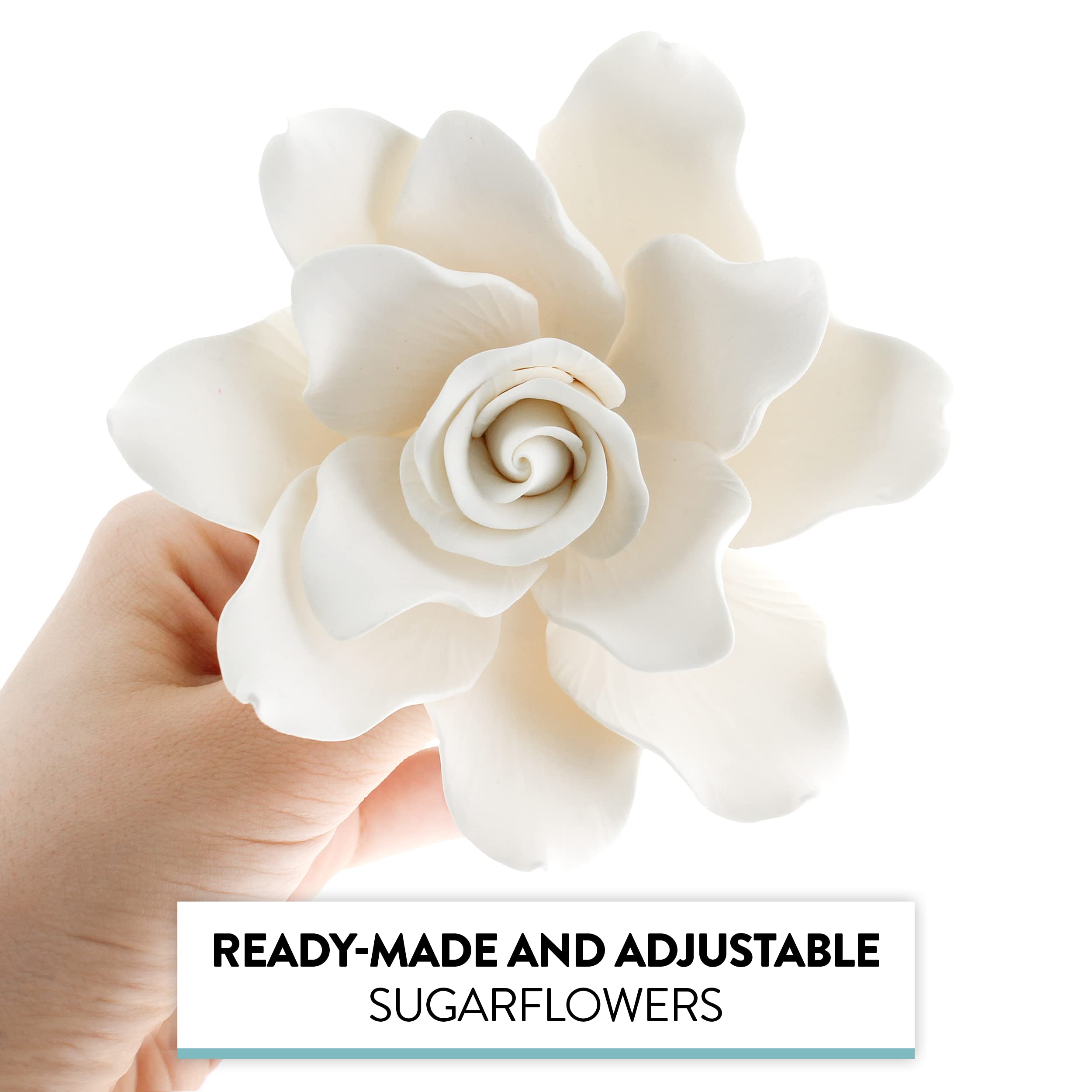 Gardenia Sugar Cake Flowers, White, 8 Count by Global Sugar Art