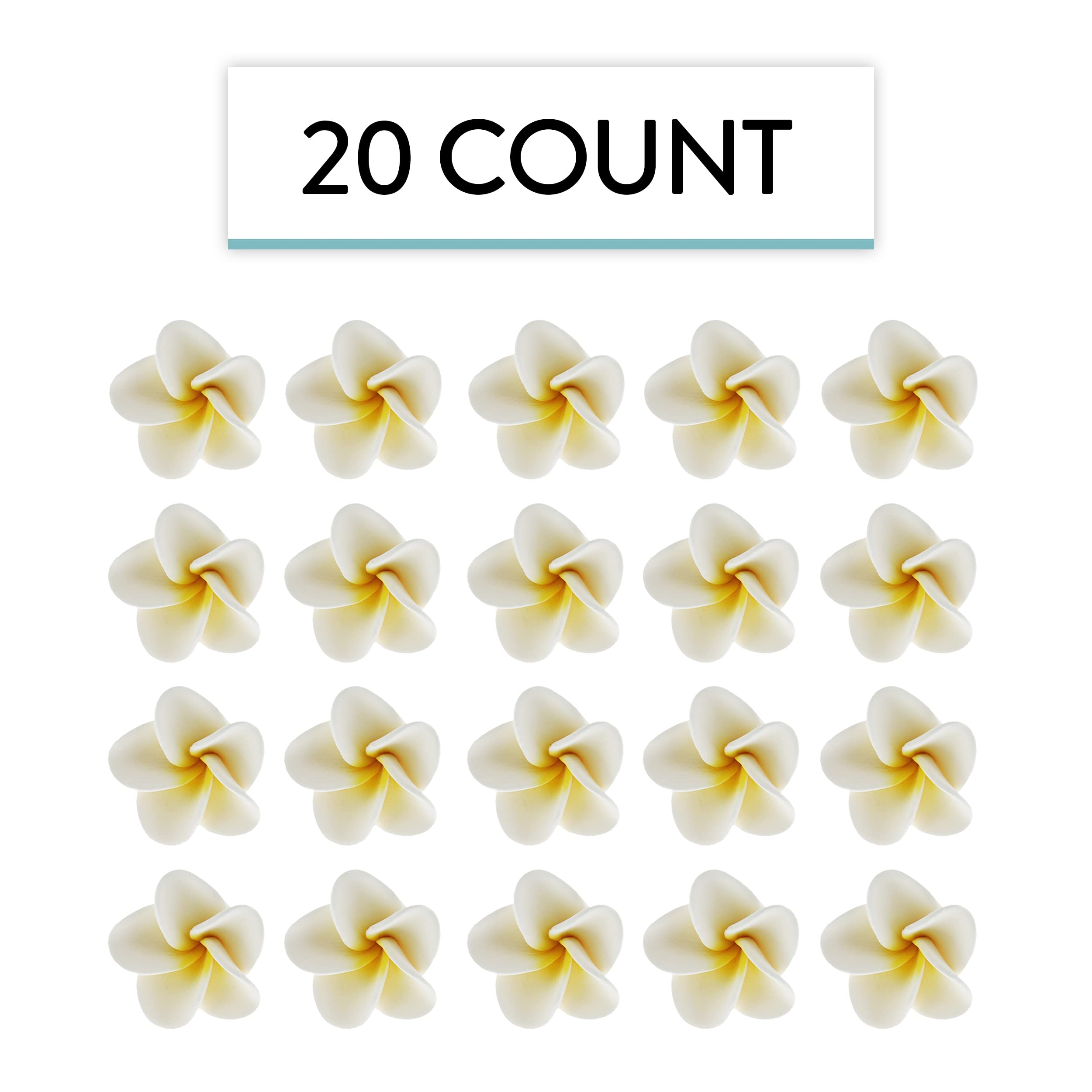 Global Sugar Art Tropical Frangipani Plumeria Sugar Cake Flowers, White 20 Count by Chef Alan Tetreault