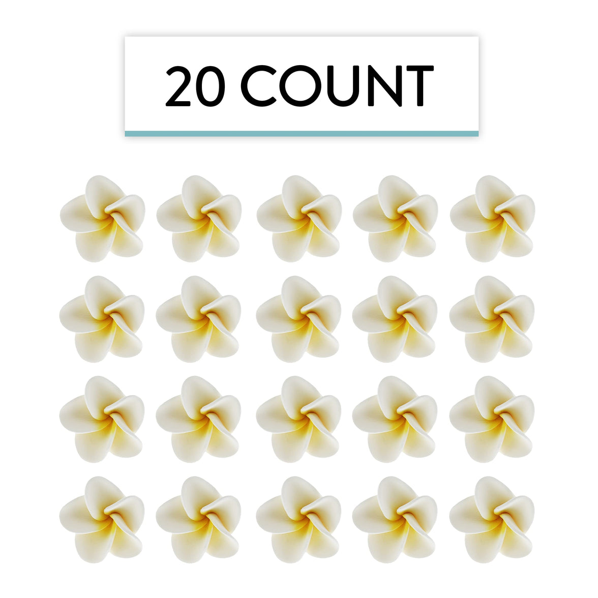 Global Sugar Art Tropical Frangipani Plumeria Sugar Cake Flowers, White 20 Count by Chef Alan Tetreault