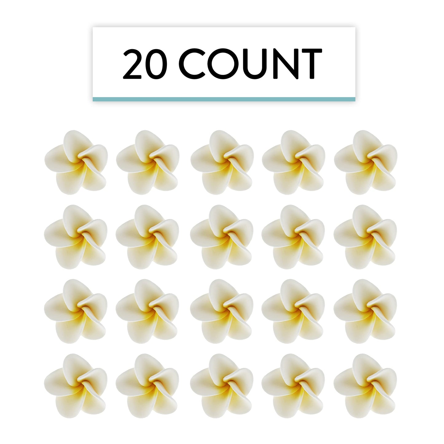 White Frangipani Plumeria, 20 Count