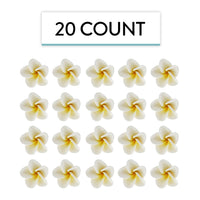 Global Sugar Art Tropical Frangipani Plumeria Sugar Cake Flowers, White 20 Count by Chef Alan Tetreault