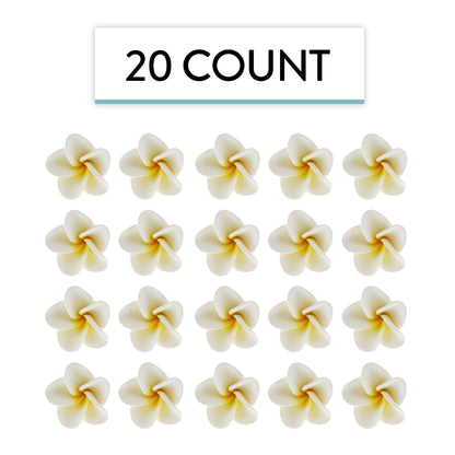 White Frangipani Plumeria, 20 Count