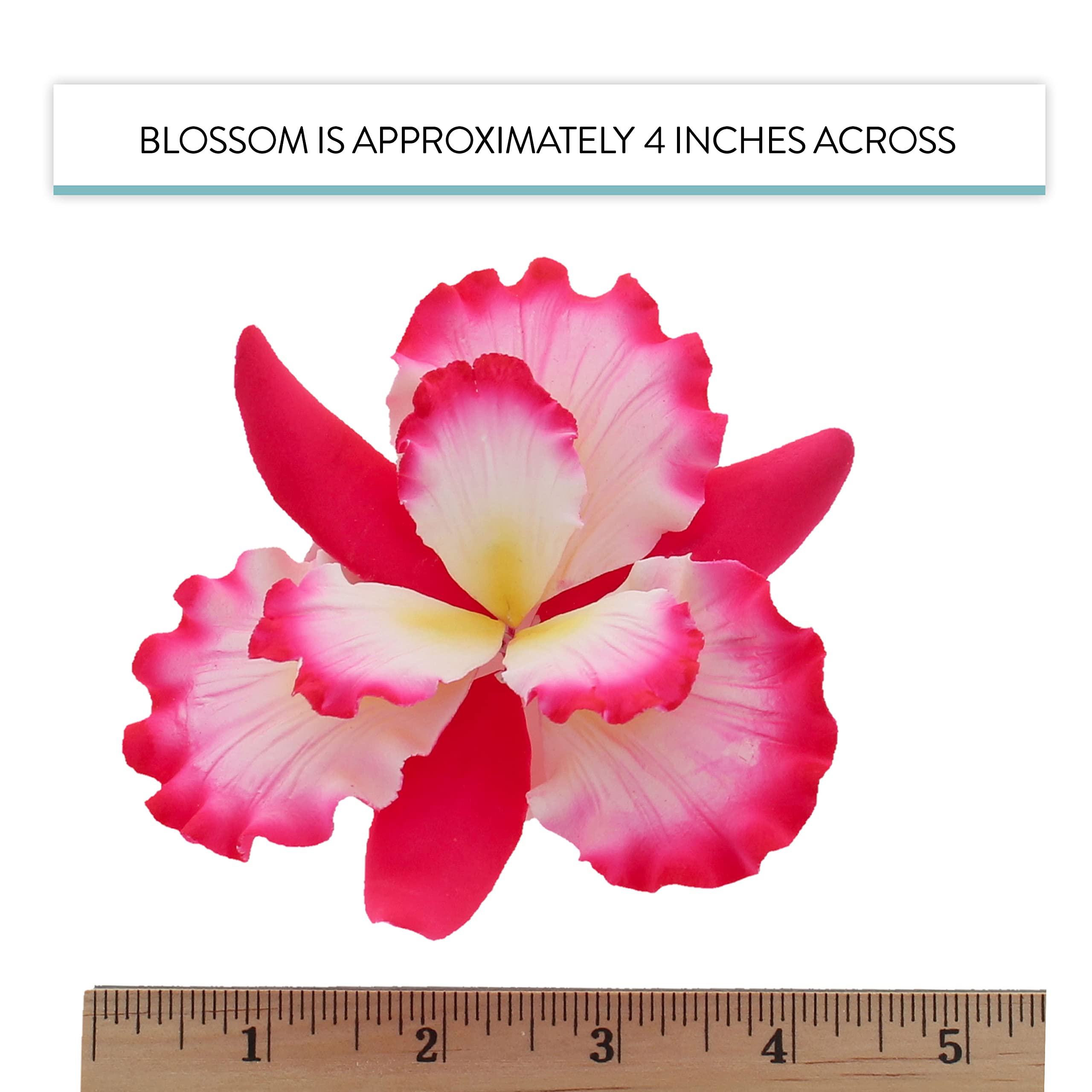 Dutch Iris Sugar Cake Flower, Cake Topper by Global Sugar Art, Pink