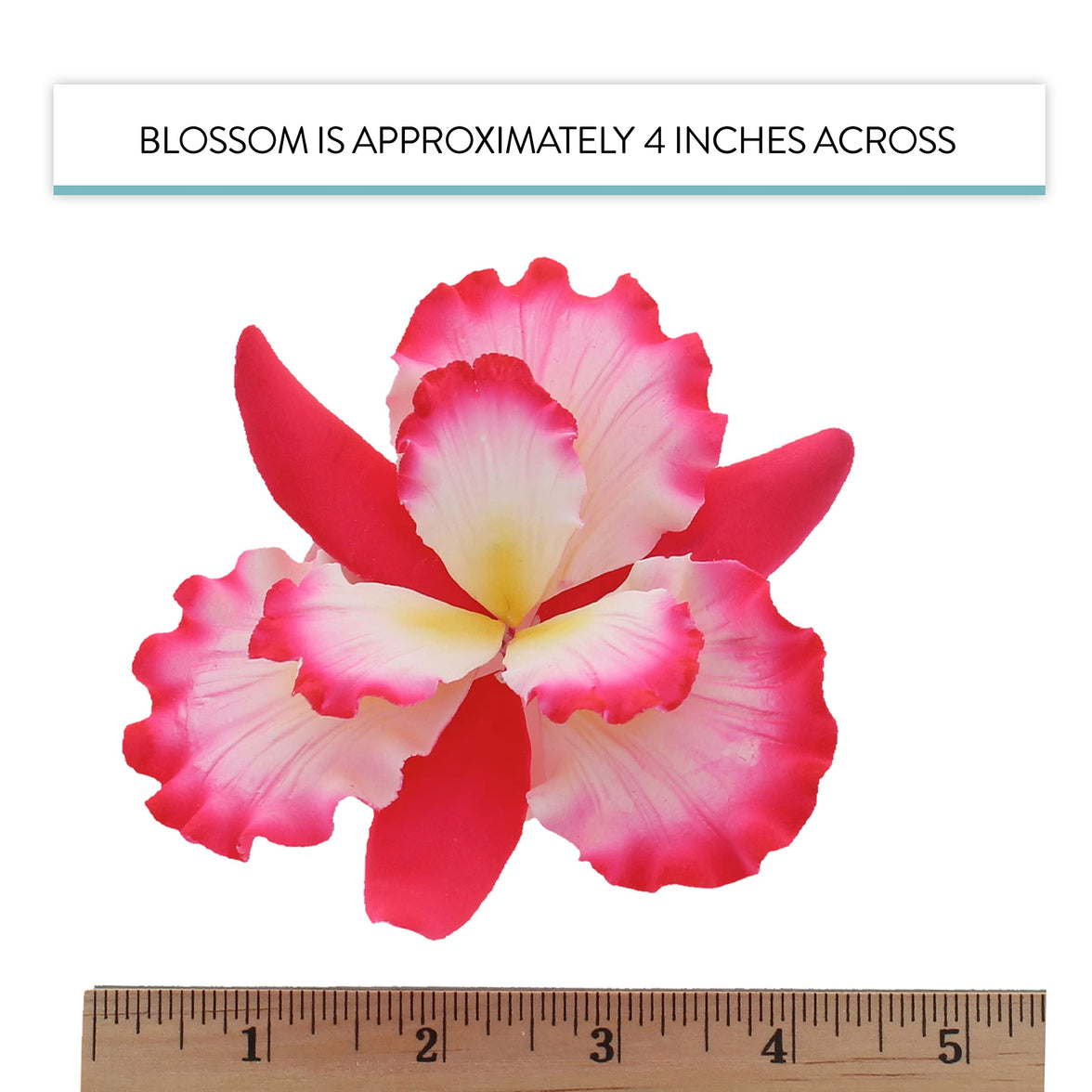 Dutch Iris Sugar Cake Flower, Cake Topper by Global Sugar Art, Pink