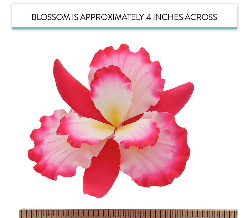Dutch Iris Sugar Cake Flower, Cake Topper by Global Sugar Art, Pink