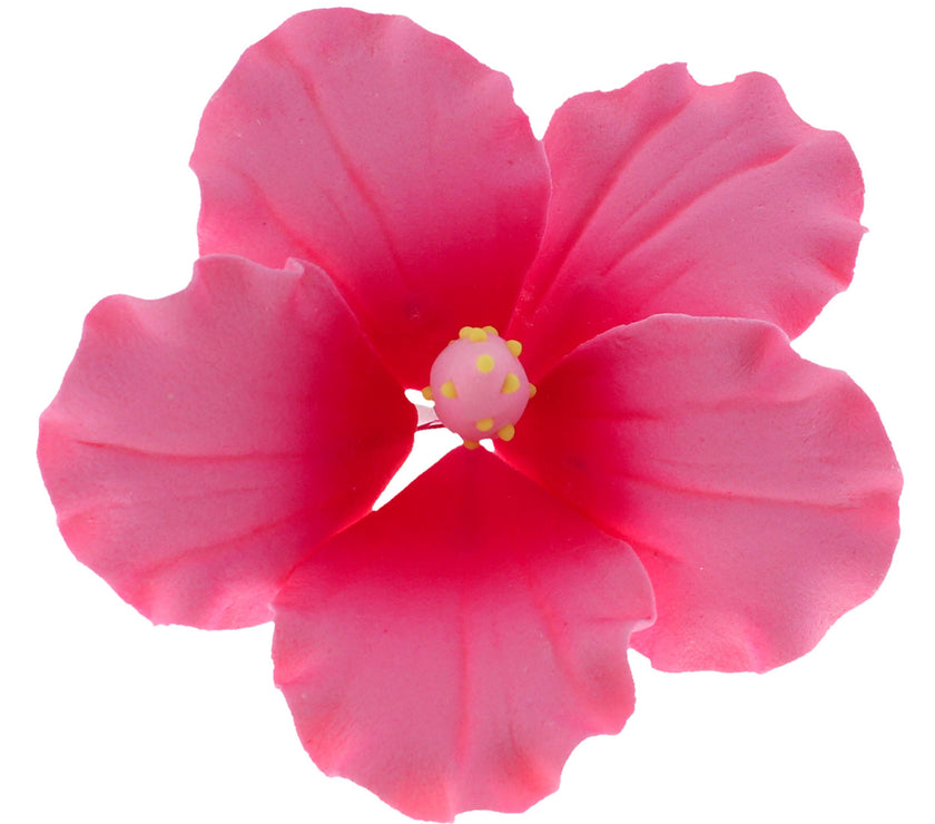 Hibiscus Sugar Cake Flowers, Pink Tropical Sugar Flowers, by Global Sugar Art