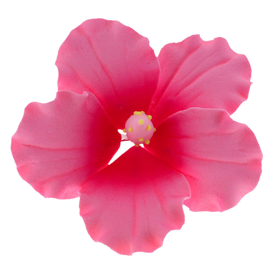 Pink Tropical Hibiscus