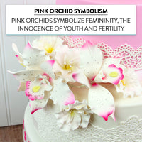 Orchid Sugar Cake Flowers, Brassavola Style Orchids, by Global Sugar Art, 3 Count, Pink