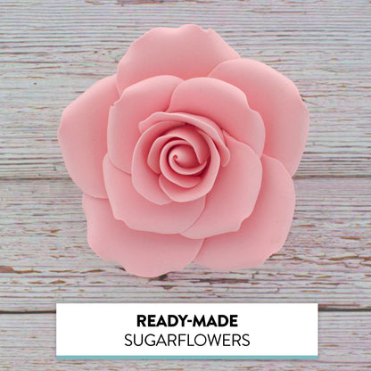 Pink Rose, Jumbo Bloom
