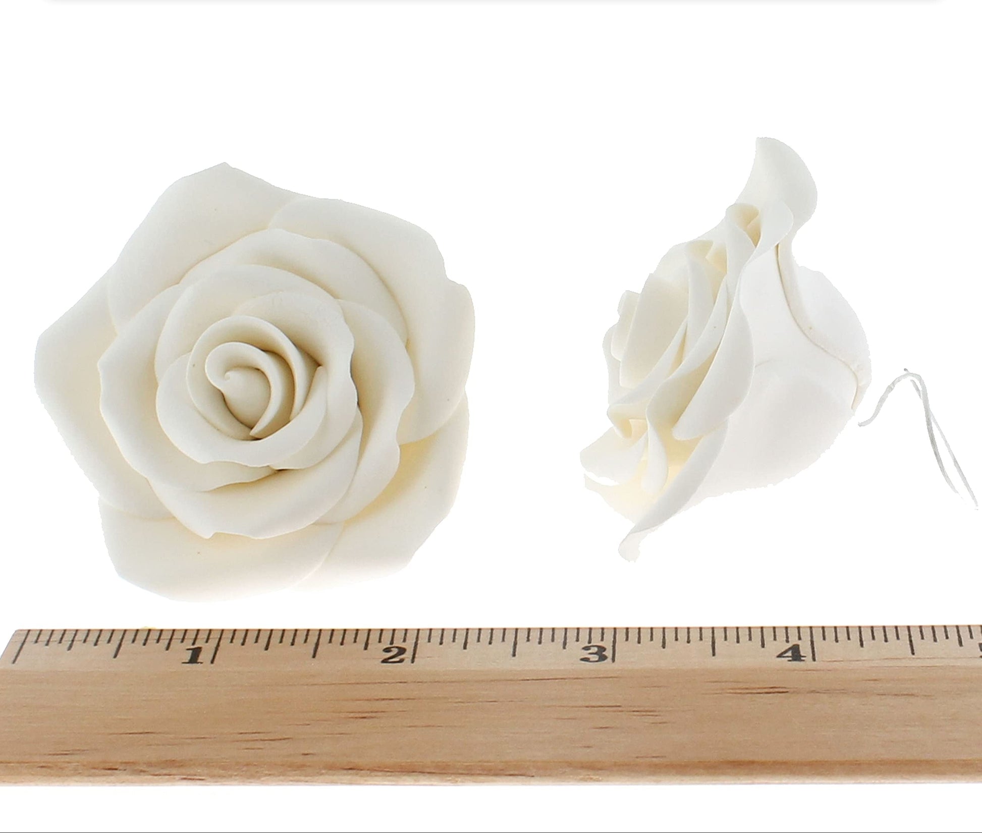 Two white flowers next to a ruler for size reference on a white background