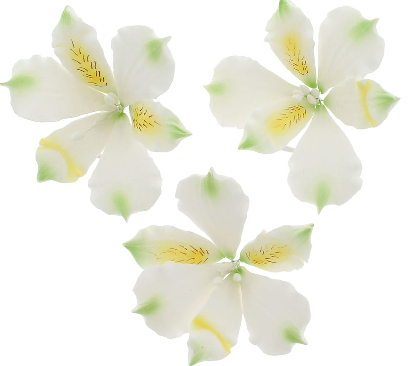 Global Sugar Art White Alstroemeria Sugar Cake Flowers by Chef Alan Tetreault, 3 Count