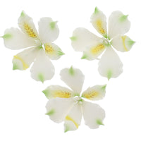 Global Sugar Art White Alstroemeria Sugar Cake Flowers by Chef Alan Tetreault, 3 Count