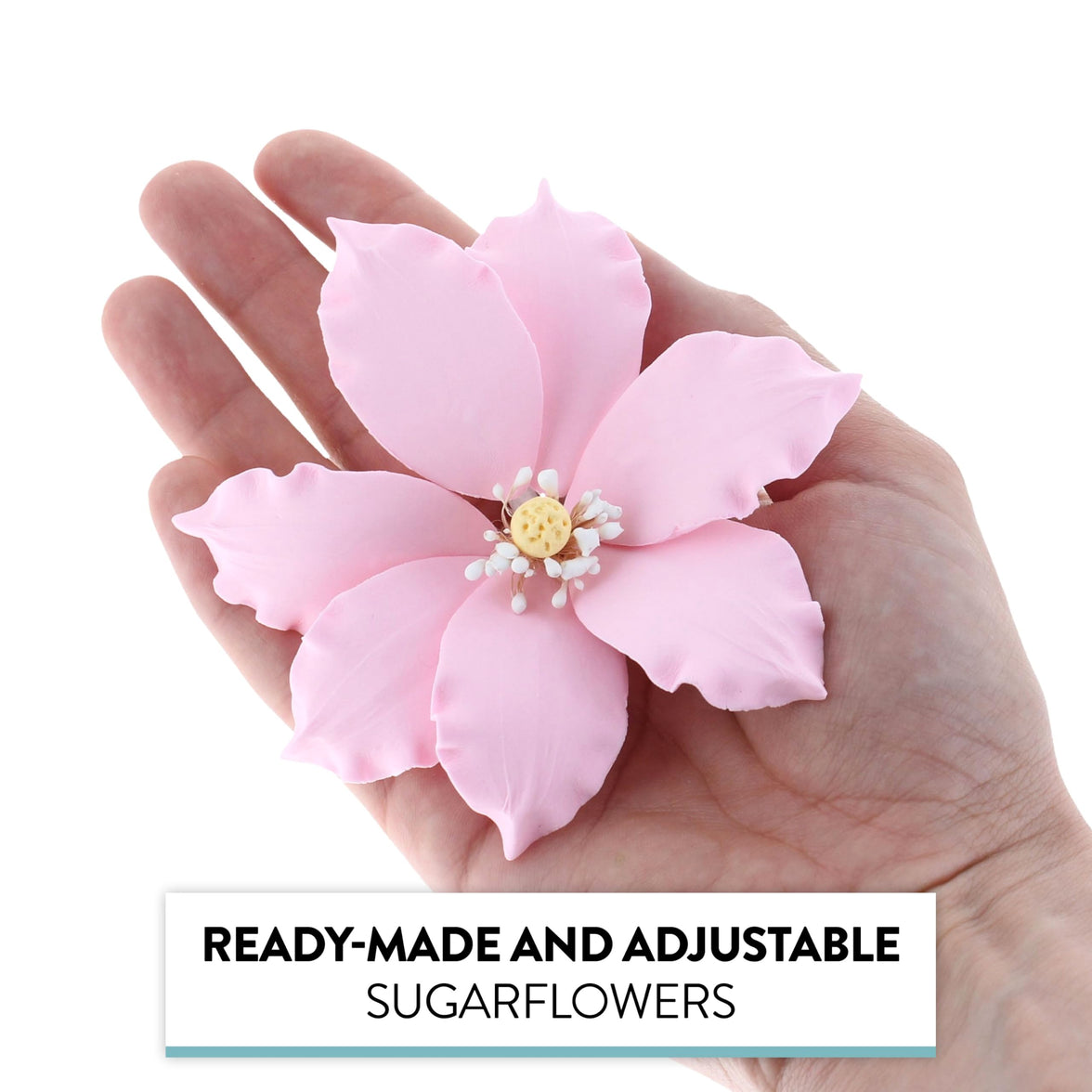 Clematis Gum Paste Sugar Cake Flowers by Global Sugar Art, Pink, 3 Count