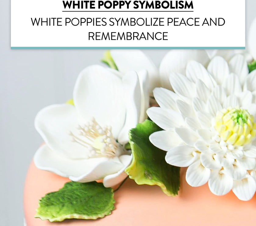 Global Sugar Art Sugar White and Green Anemone by Chef Alan Tetreault, 3 Count