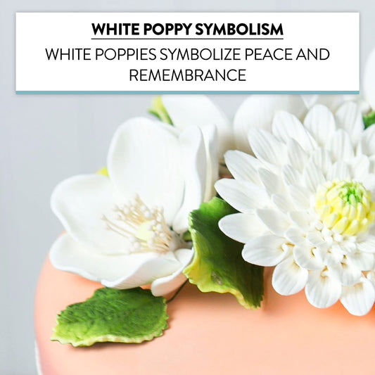 White and Green Anemone, 3 Count