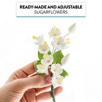 Cherry Blossom Sugar Cake Flower Spray, by Global Sugar Art, White