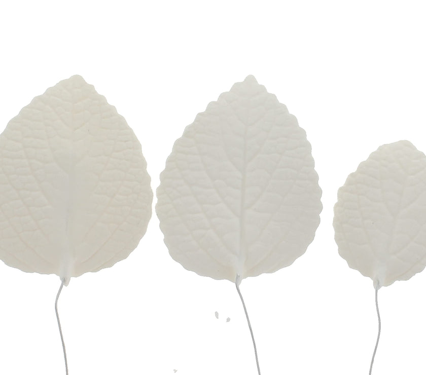 Hydrangea Leaves, Gum Paste Cake Decorations by Global Sugar Art, White, Multiple Sizes