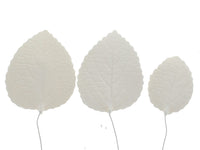 Hydrangea Leaves, Gum Paste Cake Decorations by Global Sugar Art, White, Multiple Sizes