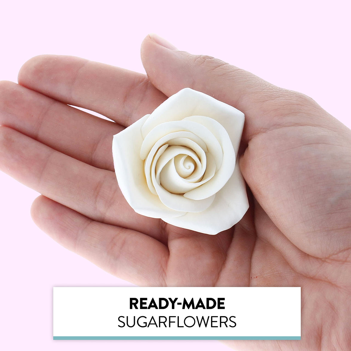 Peace Rose Sugar Flowers for Cake Decorating, by Global Sugar Art, Medium, White