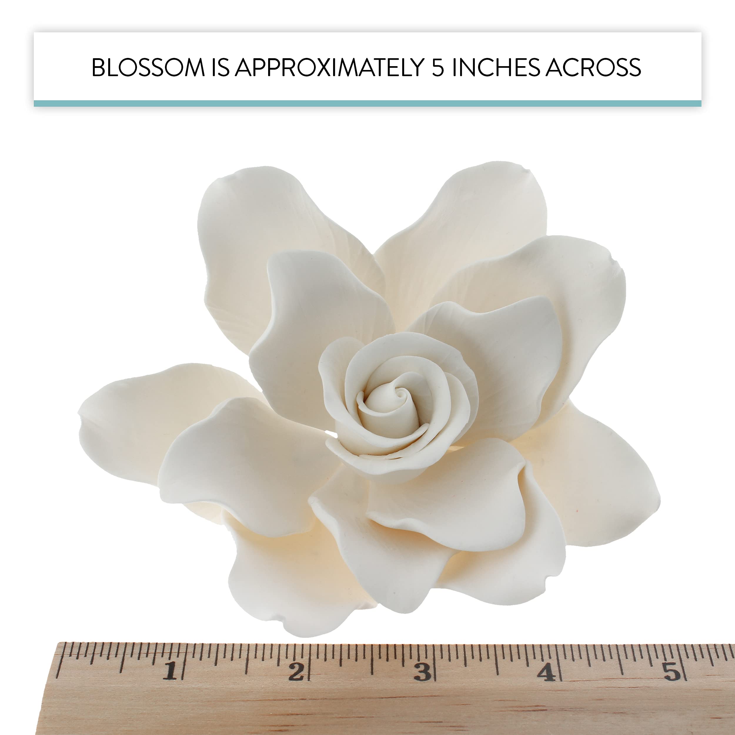 Gardenia Sugar Cake Flowers, Jumbo, White, 1 Count by Global Sugar Art