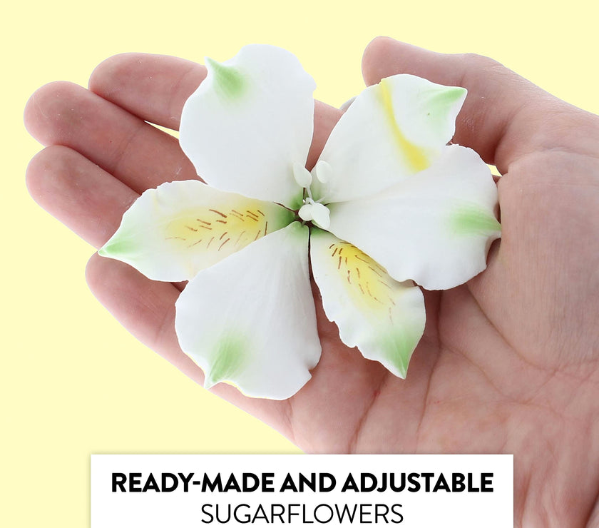 Global Sugar Art White Alstroemeria Sugar Cake Flowers by Chef Alan Tetreault, 3 Count