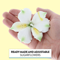 Global Sugar Art White Alstroemeria Sugar Cake Flowers by Chef Alan Tetreault, 3 Count