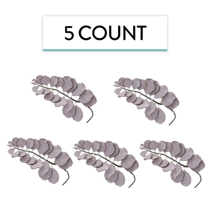 Muave Eucalyptus, 5 Count