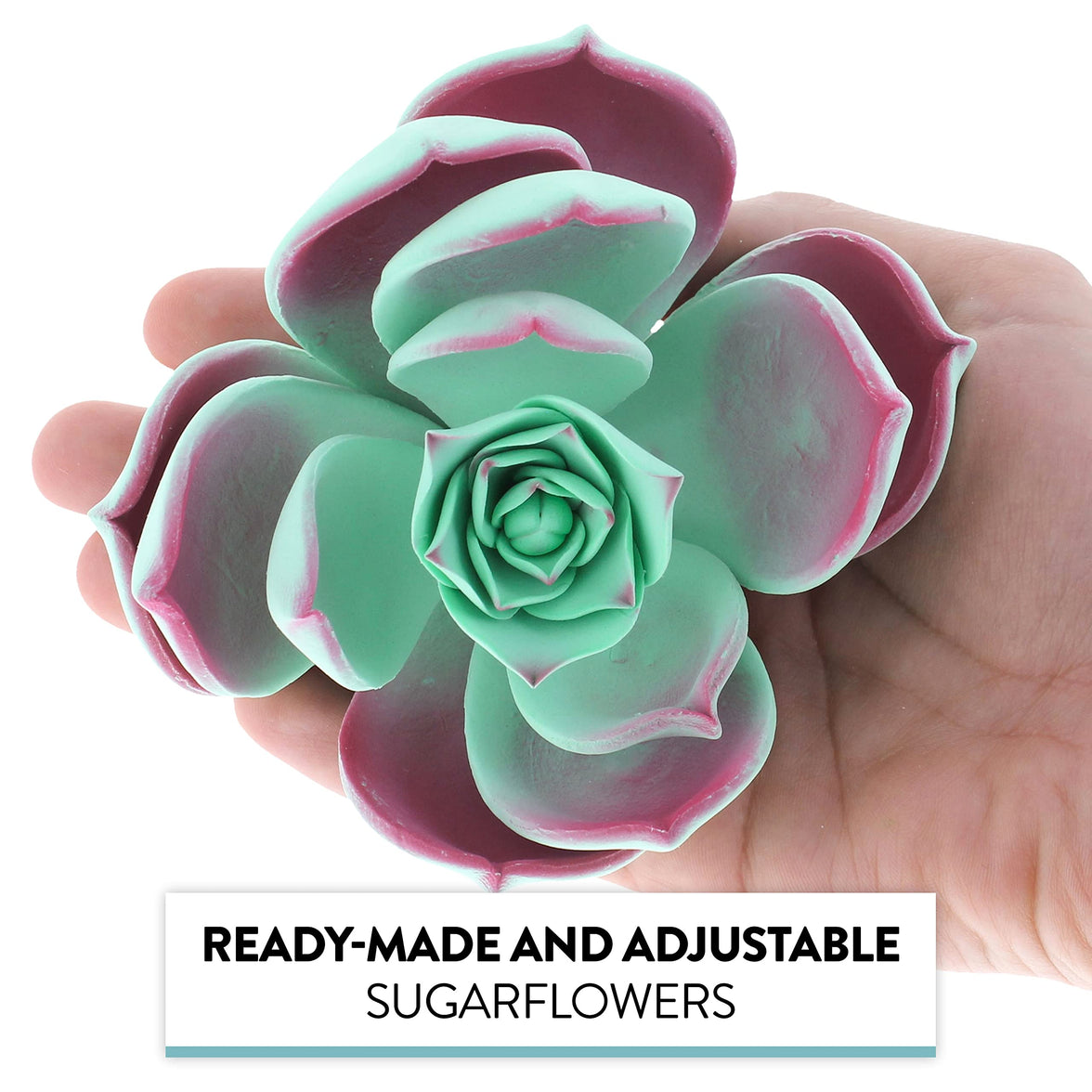 Global Sugar Art Succulent Taurus Large Sugar Cake Flowers with Wire, 1 Count by Chef Alan Tetreault